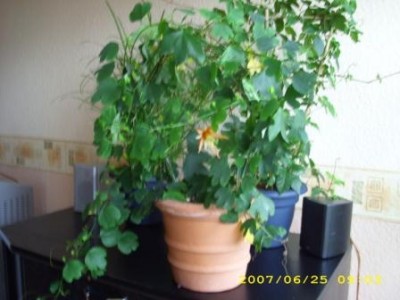 Bild 031.jpg
