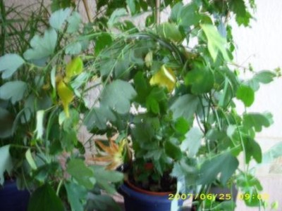 Bild 029.jpg