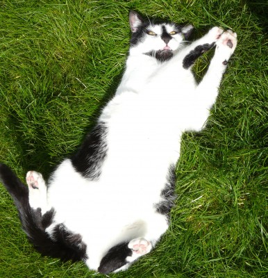 Kopie von 20.04.2008 (23).jpg