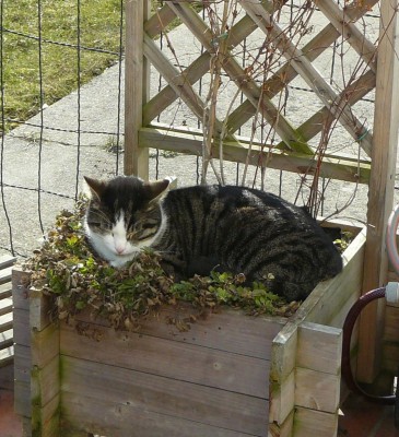 Kopie von 11.03.2010 (1).JPG