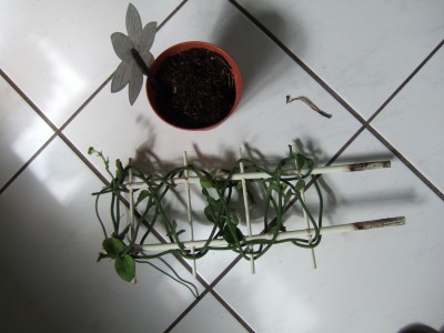DSCF8503.JPG