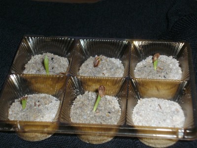 BILD0258~1.JPG