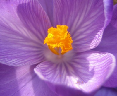 20100317_0001_4.JPG