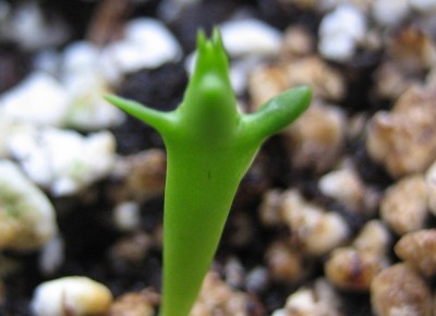 20100318_0001_10.JPG