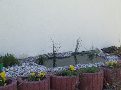 DSCF3511.JPG