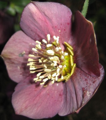 20100318_0001_13.JPG
