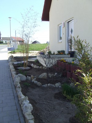 DSCF3505.JPG