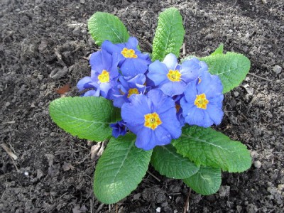 SDC12759_Bildgröße ändern.JPG