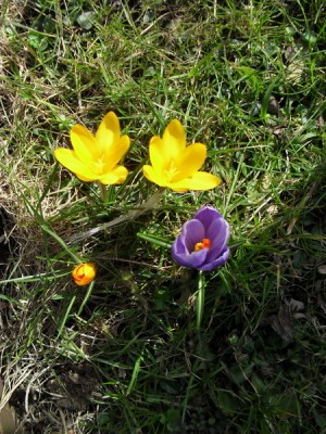 SDC12756_Bildgröße ändern.JPG