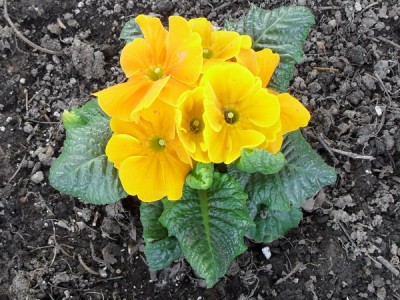 SDC12758_Bildgröße ändern.JPG