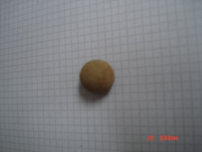 DSC01456.JPG