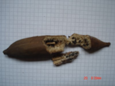 DSC01450.JPG