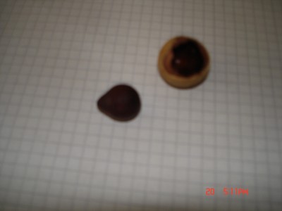 DSC01460.JPG