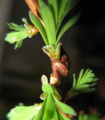 20100320_0001_5.JPG
