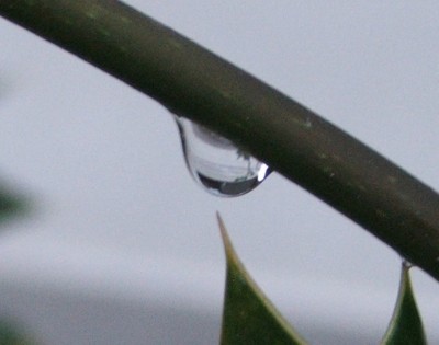 Regentropfen.4.jpg