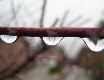 20100321_0001_5.JPG