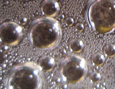 20100321_0001_11.JPG