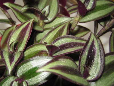 20100322_0001_6.JPG