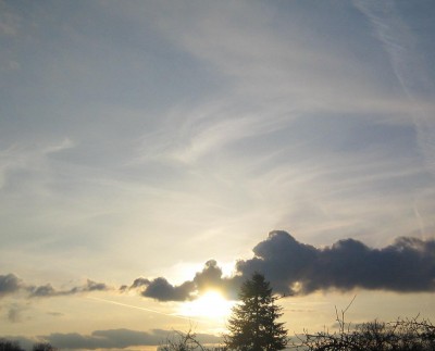 20100322_0001_10.JPG