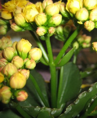 20100323_0001_1.JPG