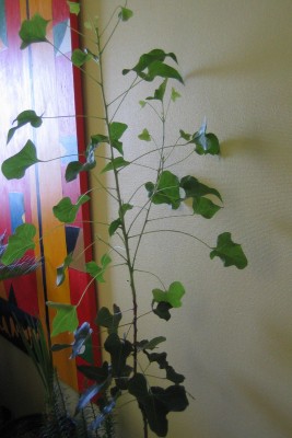 20100323_0001_2.JPG