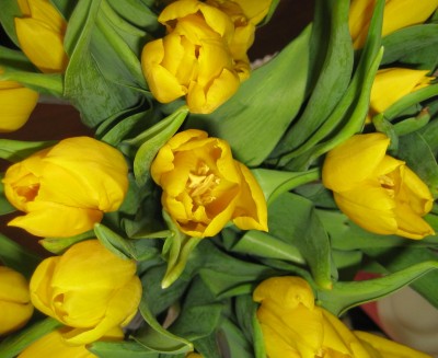 20100324_0001_4.JPG