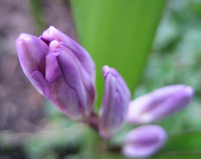 20100324_0001_1.JPG
