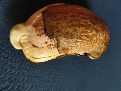 CIMG3317.jpg