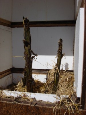 DSC00130.JPG