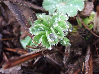 DSCF0810.JPG