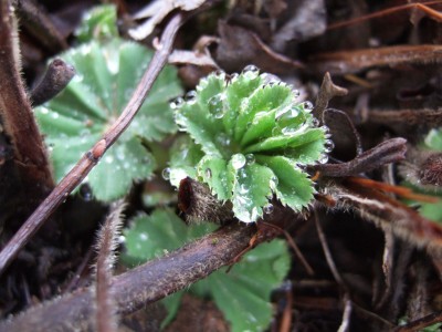 DSCF0808.JPG