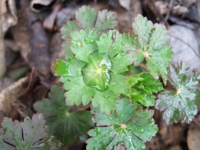 DSCF0798.JPG