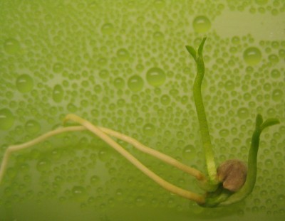 20100326_0001_1.JPG