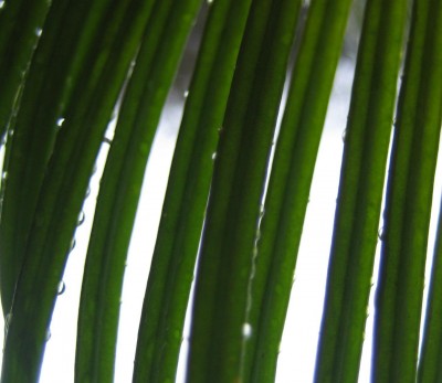 20100326_0001_4.JPG