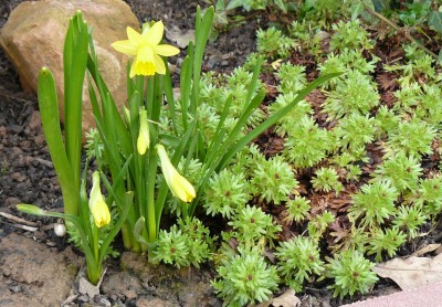 Kopie von 26.03.2010.JPG