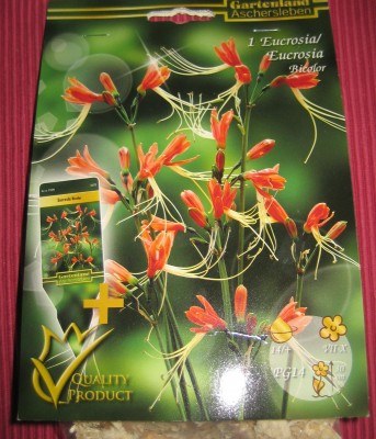 20100326_0001_15.JPG
