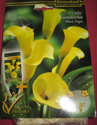 20100326_0001_16.JPG