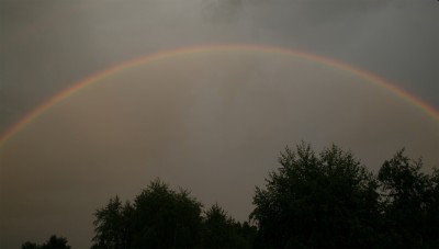 regenbogenganz.jpg