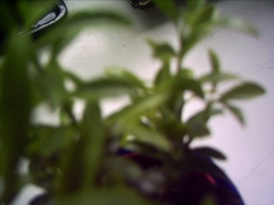 PICT0014.JPG