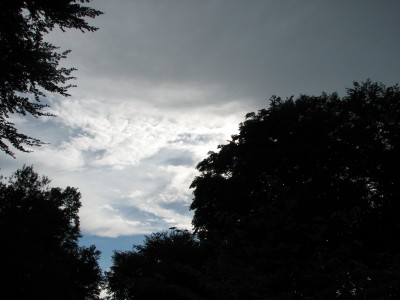 IMG_0809.JPG