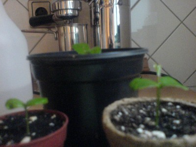 Fotos 119.jpg