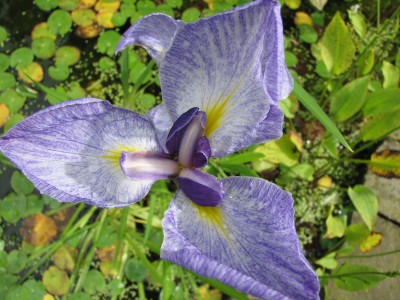IMG_0790.JPG