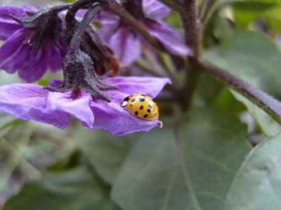 S1030116.JPG
