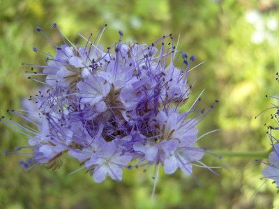 S1030128.JPG