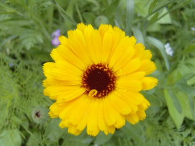 S1030139.JPG