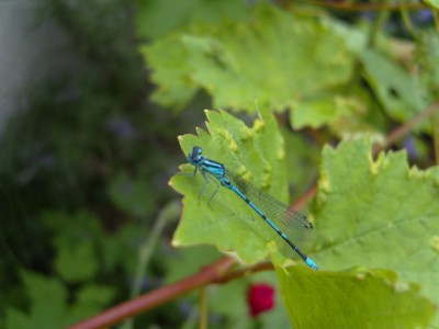S1030135.JPG