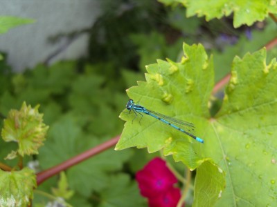 S1030134.JPG