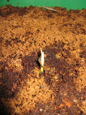 20070615-2.JPG
