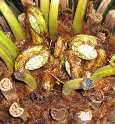 20100410_0001_4.JPG