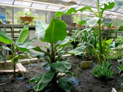 PICT0203.JPG